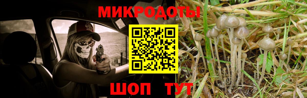 Грозный  Псилоцибиновые грибы Psilocybe  Вход с VPN  Галлюциногенные грибы Magic Shrooms 